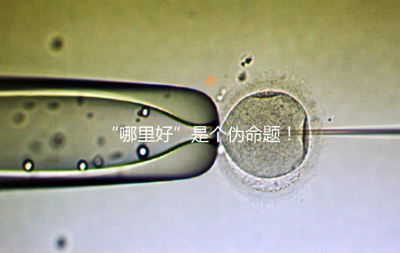 “哪里好”是個(gè)偽命題!上海市第十人民醫(yī)院做試管經(jīng)驗(yàn)分享