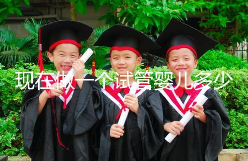 現(xiàn)在做一個(gè)試管嬰兒多少錢(現(xiàn)在做一個(gè)試管嬰兒多少錢啊)