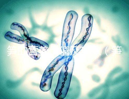 筍的營養(yǎng)價值及功效(筍的營養(yǎng)價值及功效與作用)