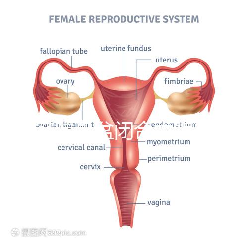 美容院骨盆閉合術騙局公開，不但沒用還會造成損傷要小心