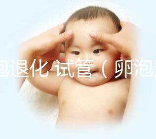 卵泡退化 試管(卵泡退化 試管能成功嗎)