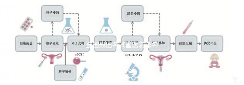 全國最出名試管醫(yī)院排名前5，內(nèi)附試管費用及成功率一覽