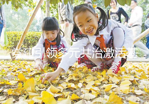 黨建引領多元共治激活基層治理(黨建引領多元共治激活基層治理內生力)