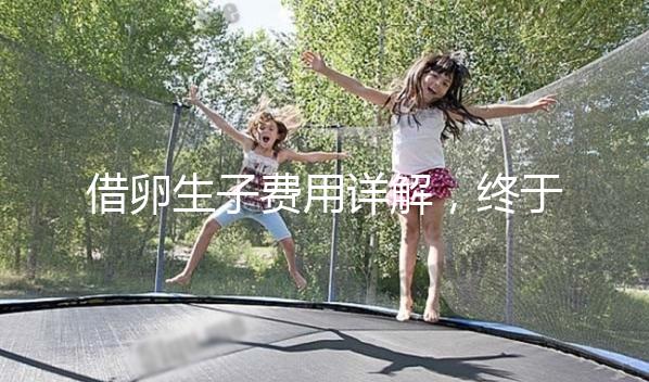 借卵生子費(fèi)用詳解,終于知道用別人卵子做試管要多少錢了