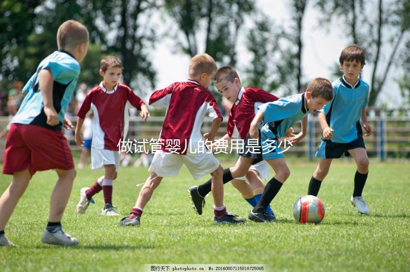 做試管嬰兒的費用是多少？