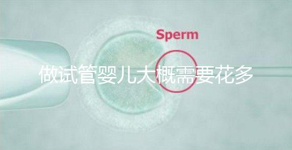 做試管嬰兒大概需要花多少錢,做試管嬰兒需要花多少錢