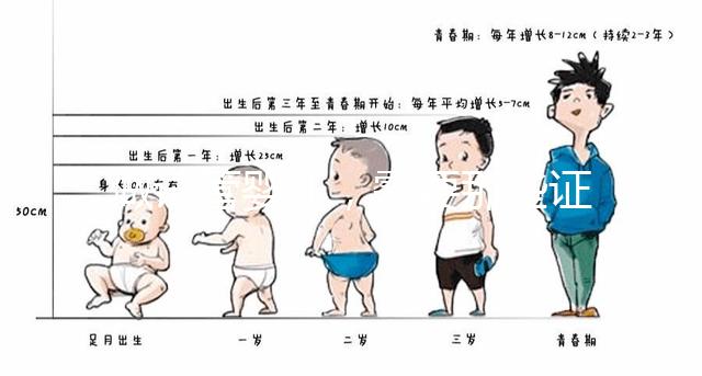 做試管嬰兒，需要那些證件