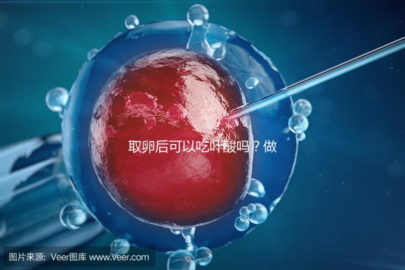 取卵后可以吃葉酸嗎？做過試管的姐妹們都這么說...