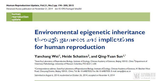 冬季吃紅棗補氣血，這4大禁忌孕婦千萬別犯