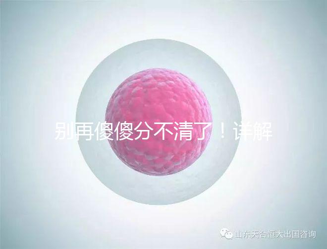 別再傻傻分不清了！詳解美國試管嬰兒和人工授精的區別