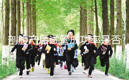 剖腹產(chǎn)后試管成功率是否很低？適當(dāng)?shù)恼{(diào)理影響真的很小