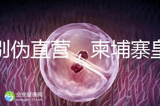 告別偽直營，柬埔寨皇家生殖遺傳醫院RFG中國辦事處指南