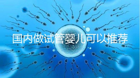國內做試管嬰兒可以推薦幾家好的醫院嗎