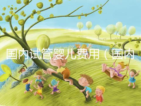 國內試管嬰兒費用（國內試管嬰兒費用多少）