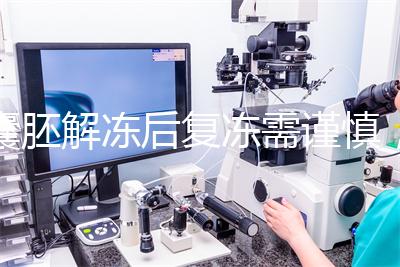 囊胚解凍后復凍需謹慎,這些對胚胎質(zhì)量的影響不可不知