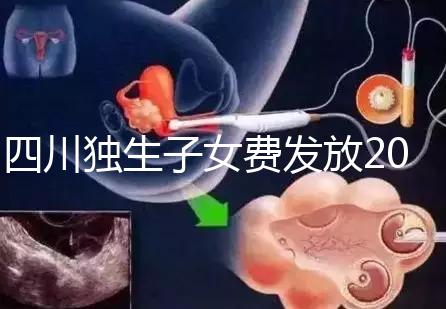 四川獨生子女費發放2024年新規定，如何盡快領取自貢？