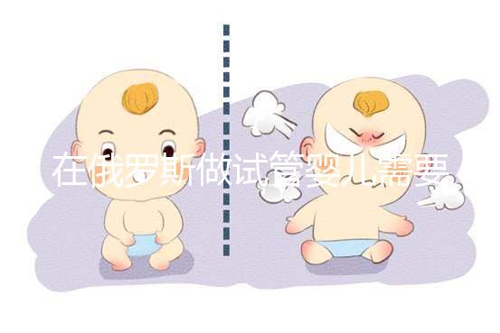 在俄羅斯做試管嬰兒需要什么條件？這四個(gè)條件缺一不可