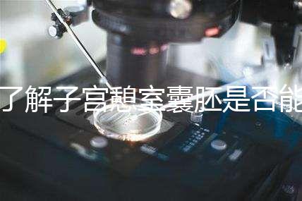 了解子宮憩室囊胚是否能成功移植，這里是否有出血