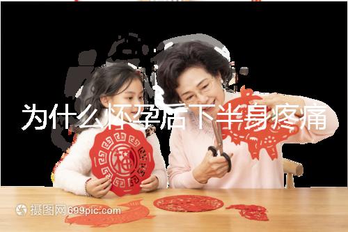 為什么懷孕后下半身疼痛？