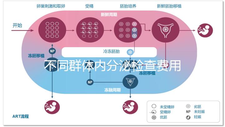 不同群體內分泌檢查費用有差別,但醫(yī)保報銷問題不大