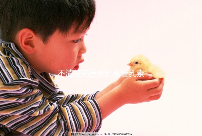 不清楚南昌催乳素催乳素催收如何收費快速閱讀，專業(yè)問題讓你花更少的錢