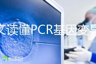 一文讀懂PCR基因變異報告,解讀高通量測序染色體檢查