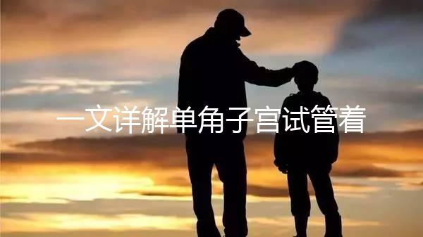 一文詳解單角子宮試管著床困不困難，失敗或和這幾點(diǎn)有關(guān)