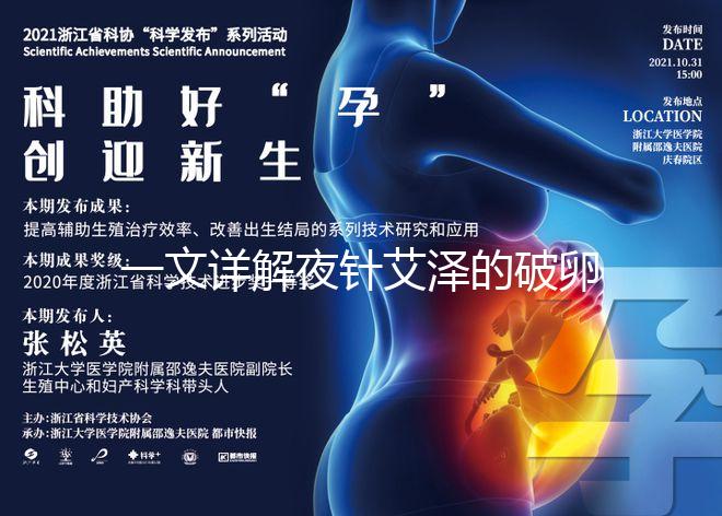 一文詳解夜針艾澤的破卵成功率，60s弄清跟絨促誰更高