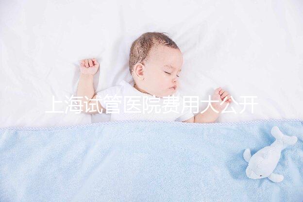 上海試管醫院費用大公開!過來人表示無法報銷真不便宜