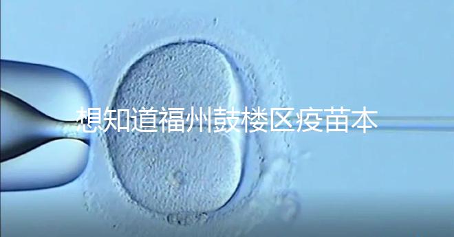 想知道福州鼓樓區疫苗本丟失怎么辦看這,到哪里補辦要弄清