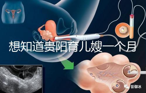 想知道貴陽(yáng)育兒嫂一個(gè)月戳多少錢,云巖2萬夠不夠