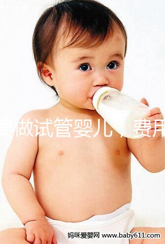 想要做試管嬰兒，費用預算大概是多少？