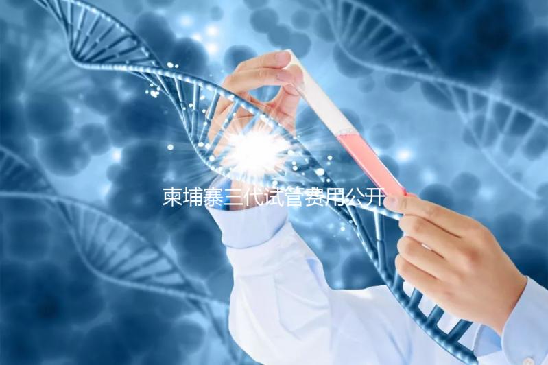 柬埔寨三代試管費(fèi)用公開,不同項(xiàng)目?jī)r(jià)格不同