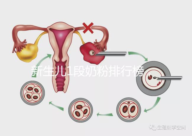 新生兒1段奶粉排行榜,口碑好、價格實惠的品牌紛紛上榜