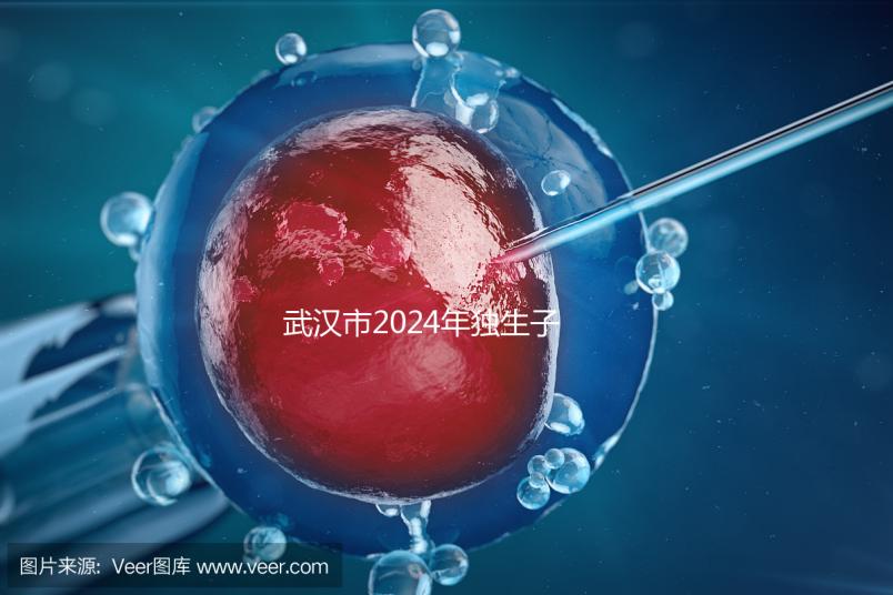 武漢市2024年獨(dú)生子女補(bǔ)貼政策已經(jīng)實(shí)施,領(lǐng)取流程更加規(guī)范