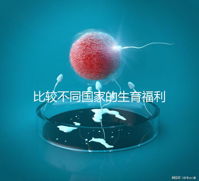 比較不同國家的生育福利｜生孩子還能拿到錢嗎？