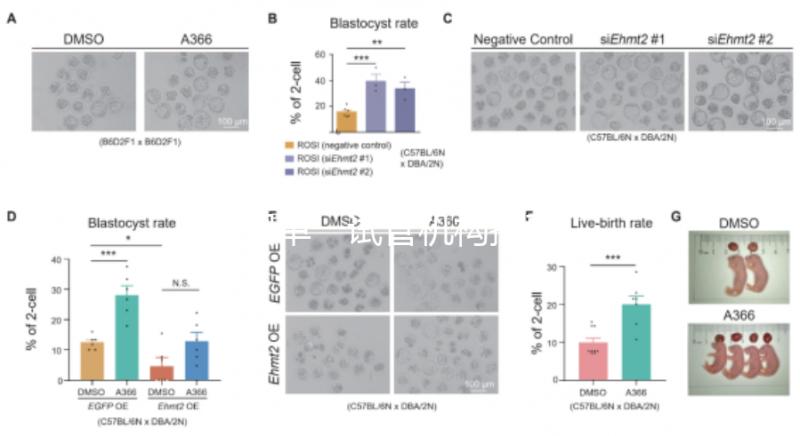 泰國單一試管機(jī)構(gòu)推薦，標(biāo)準(zhǔn)、流程和費(fèi)用清單，實(shí)現(xiàn)你的生育夢想