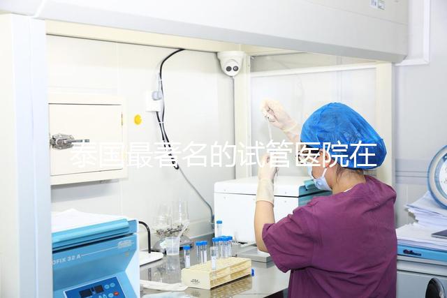 泰國最著名的試管醫(yī)院在哪里最好?推薦助孕機(jī)構(gòu)名單