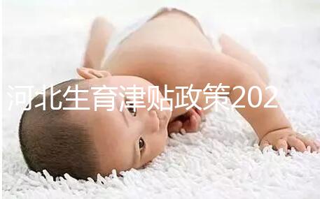 河北生育津貼政策2024，想造石家莊怎么算、多久到賬戳這