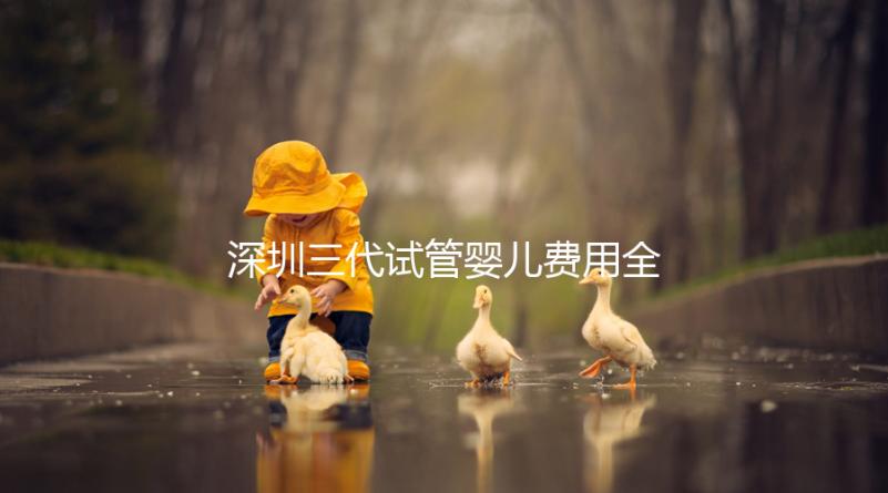 深圳三代試管嬰兒費(fèi)用全揭秘，助你輕松掌握預(yù)算！