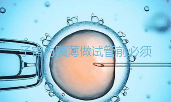 子宮內膜薄做試管前必須先調理好，調理方法在這里自??！