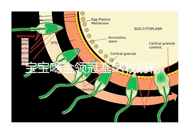 寶寶喝金領冠塞納牧奶粉后不長個,沖泡方法有大問題