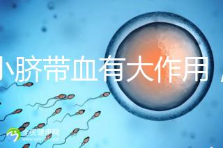 小小臍帶血有大作用，不僅能治療白血病還能拯救腦癱兒