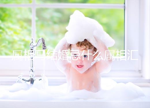 屬相馬結(jié)婚忌什么屬相匯總,2023和鼠、牛真相克請(qǐng)三思