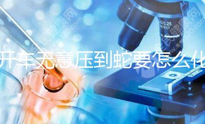 開車無意壓到蛇要怎么化解進(jìn)來瞧,要不要報警一目了然