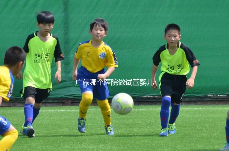 廣東哪個醫院做試管嬰兒技術好，成功率高，我今年45歲，今年在浙江做了兩次都不成功，都是8細胞一級。