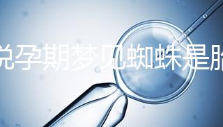 都說孕期夢見蜘蛛是胎夢，咬人、爬身上意思都不同快收藏