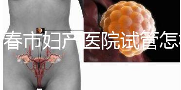 長春市婦產醫院試管怎樣問題解答，助孕成功率、費用可作參考