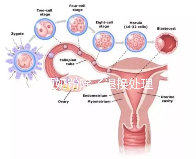 問題奶粉除了退換處理,還可要求十倍標準的賠償金