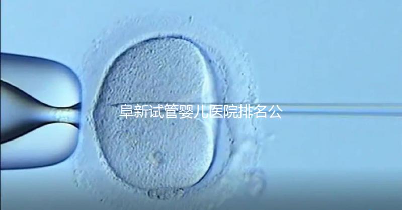 阜新試管嬰兒醫(yī)院排名公開,附2024年助孕費明細